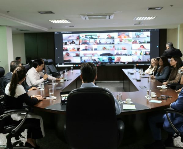 Governador Daniel Vilela reúne prefeitos para definir ações conjuntas de combate ao Aedes aegypti