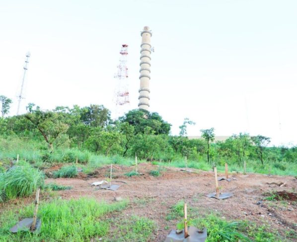 Governo de Goiás investe R$ 14,4 milhões na revitalização do Parque da Serrinha                    - área verde, e torres metálica e de concreto